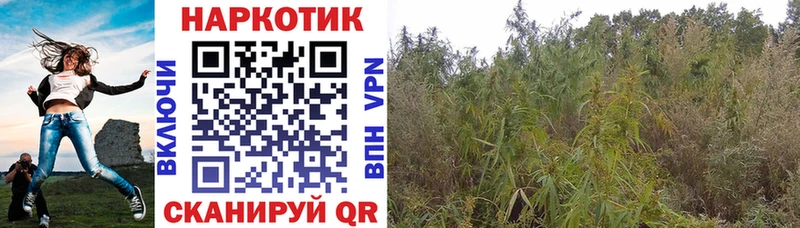Купить наркотики цена Алейск МЕТАМФЕТАМИН Alpha PVP Кокаин Гашиш Меф мяу мяу Каннабис