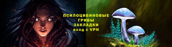 сатива Абдулино